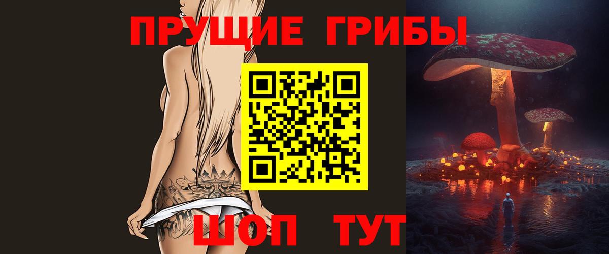 Тара  Галлюциногенные грибы Psilocybine cubensis  Галлюциногенные грибы Cubensis  Вход с VPN 