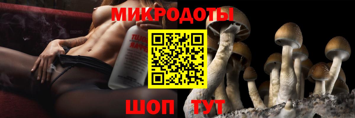 Псилоцибиновые грибы Psilocybine cubensis Тара