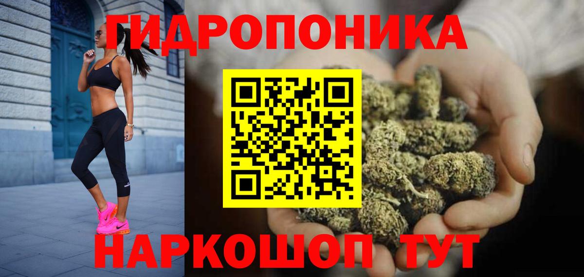 Тара  Бошки Шишки сатива  Марихуана OG Kush  Шишки марихуана план  Вход с VPN 